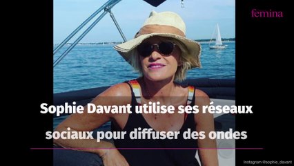 Sophie Davant : « topless à la soixantaine, poitrine qui tombe, peau fripée »… Attaquée sur son physique, elle répond