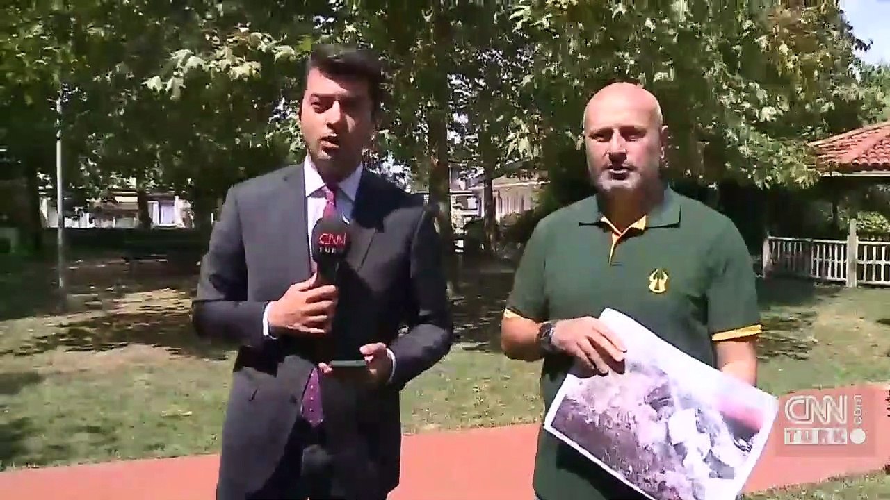 İBB çınar ağaçlarını neden kesti?