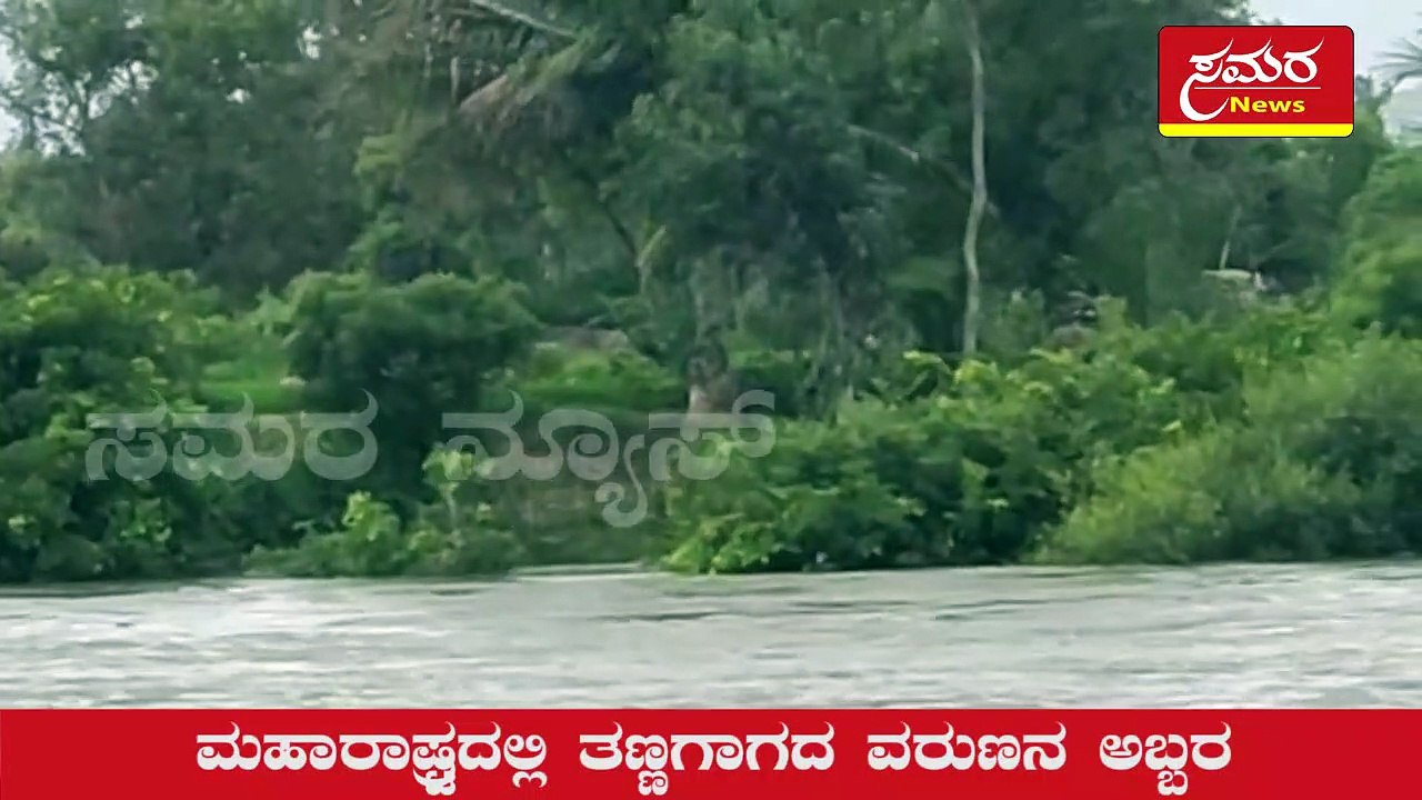 river| rain| bhadravati| maharashtra| samara news