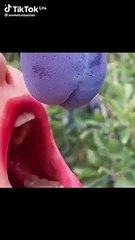 موووت ديال ضحك تفرج و شوف