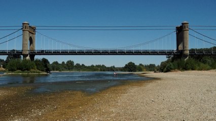 Sécheresse : la Loire est si basse qu'on peut la traverser à pied