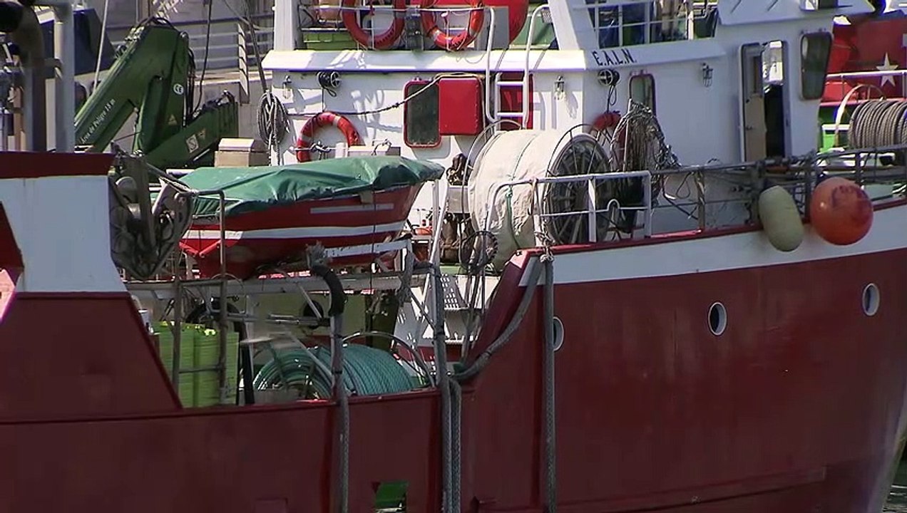 Nuevos smartphones que aúnan tecnología y sostenibilidad para proteger el medioambiente