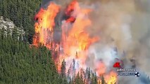 Incendi, nel 2021 oltre 159mila ettari devastati