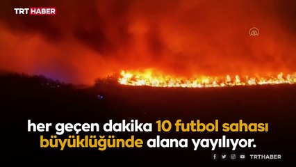 Fransa'da yangın: Dakikada 10 futbol sahasından büyük alan yanıyor