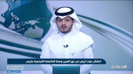 فرنسا تعلن انتشال حوت أبيض ضل طريقه في نهر السين