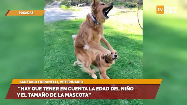 “Hay que tener en cuenta la edad del niño y el tamaño de la mascota”