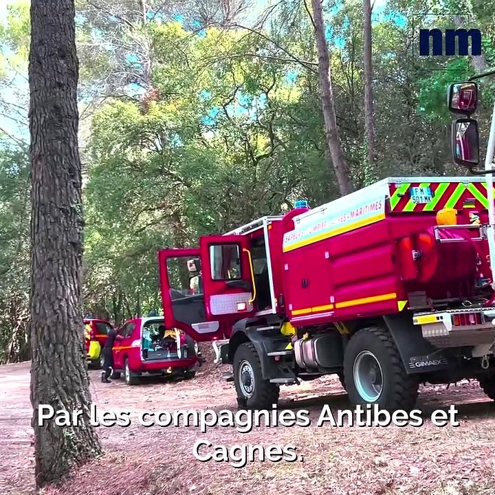 Unité Alpha : les pompiers à l’affût des feux de forêt