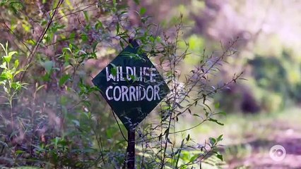 Wildlife Rescue Australia S01E04