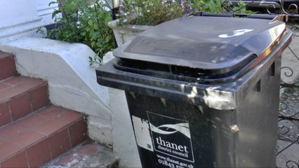 Thousands in Thanet angry after being left without green waste collections
