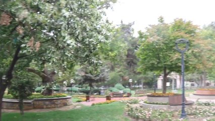 Burdur haberleri: Burdur'da Sağanak Yağış Etkili Oldu, Kuvvetli Rüzgar Ağaçları Devirdi