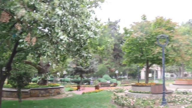 Burdur haberleri: Burdur'da Sağanak Yağış Etkili Oldu, Kuvvetli Rüzgar Ağaçları Devirdi