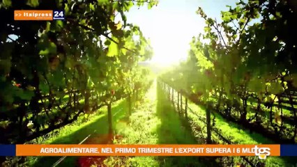 Tg Economia del 10 agosto