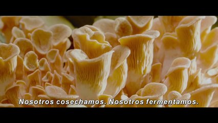 'El menú' - Tráiler oficial subtitulado #2