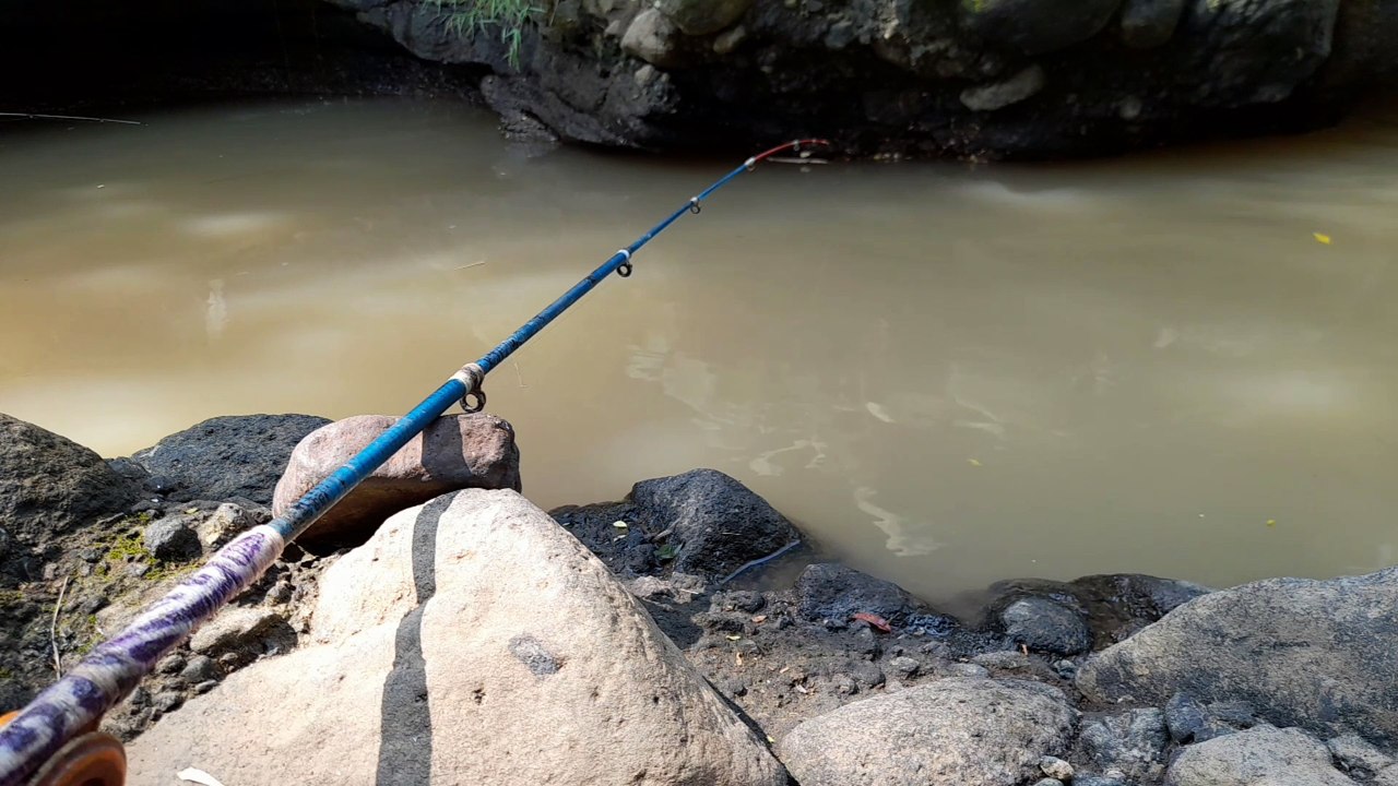 Fishingg,, mancing