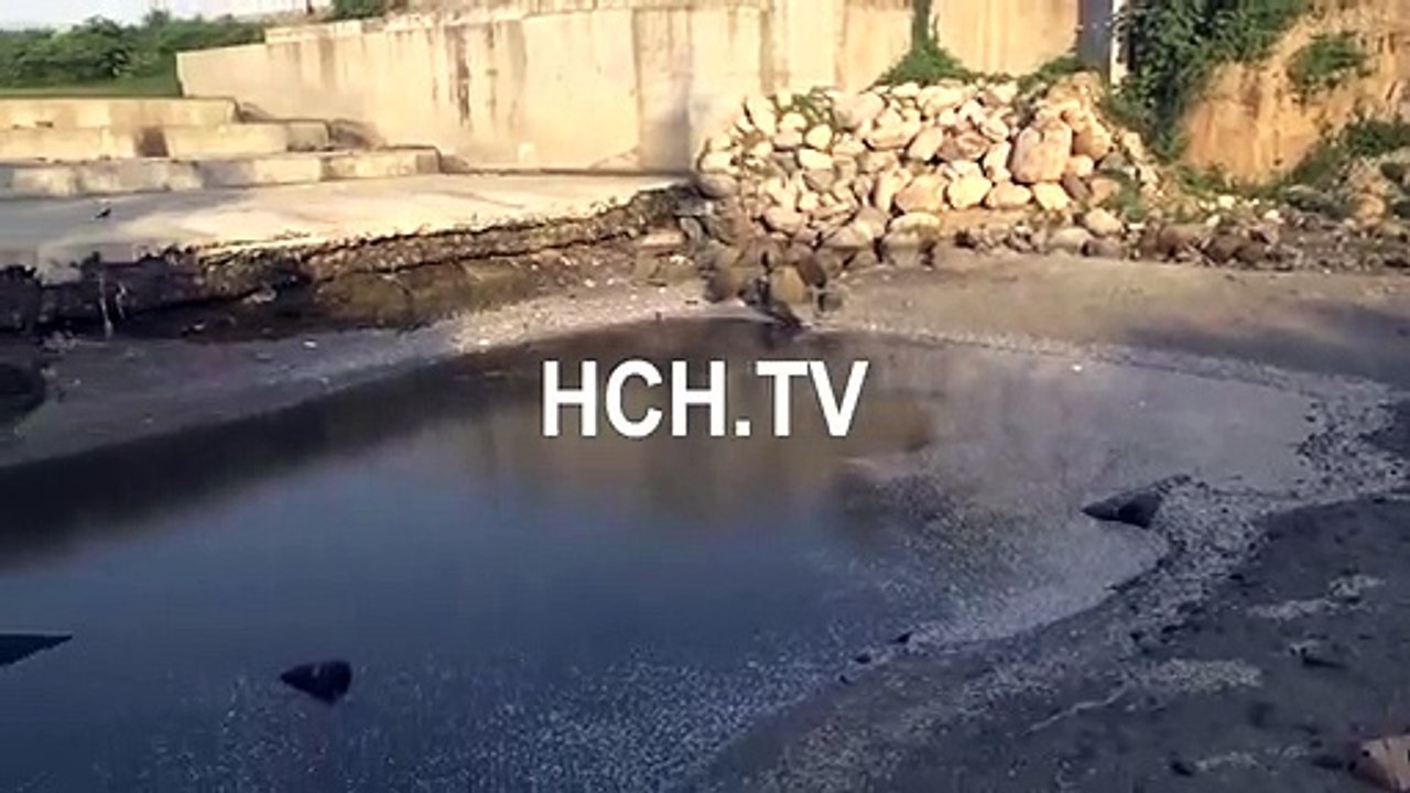 ¡Mortandad! Millones de peces mueren debido a contaminación y sequía del río Choloma
