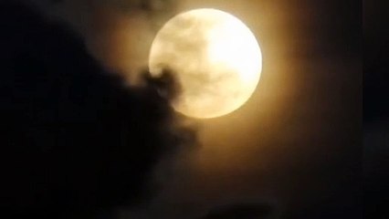 Full Moon October 20, 2021 Live - Hunter's Moon 2021 Live