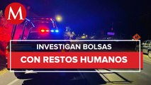 Hallan bolsas de plástico con restos humanos en Michoacán