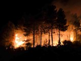 Sinop haber | Sinop'un Gerze ilçesinde çıkan orman yangını korkuttu