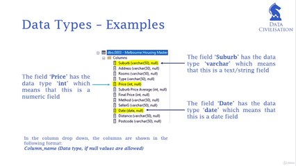 Understanding Data Types 🗃️