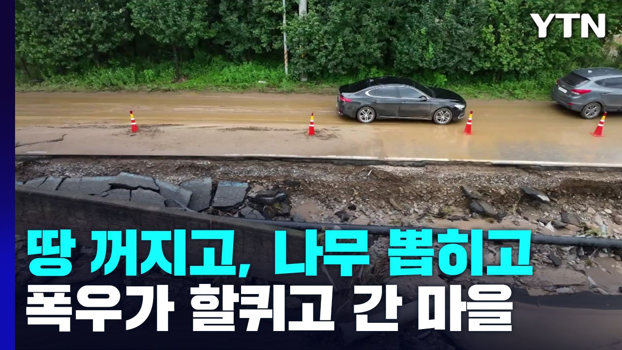 땅 꺼지고, 나무 뽑히고...폭우가 할퀴고 간 경기 남부지역 / YTN