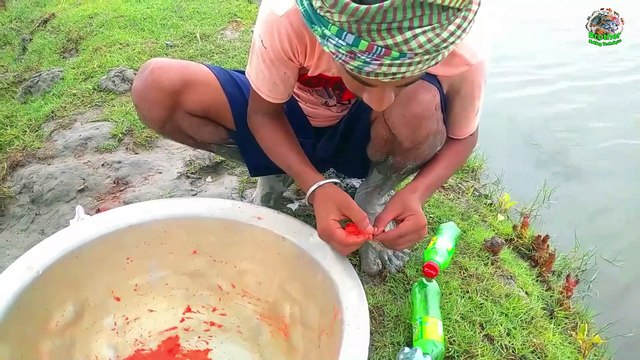 Plastic Bottles Fish Trap । Unbelievable Catching Fish With Hook & Plastic Bottle Fish Trap