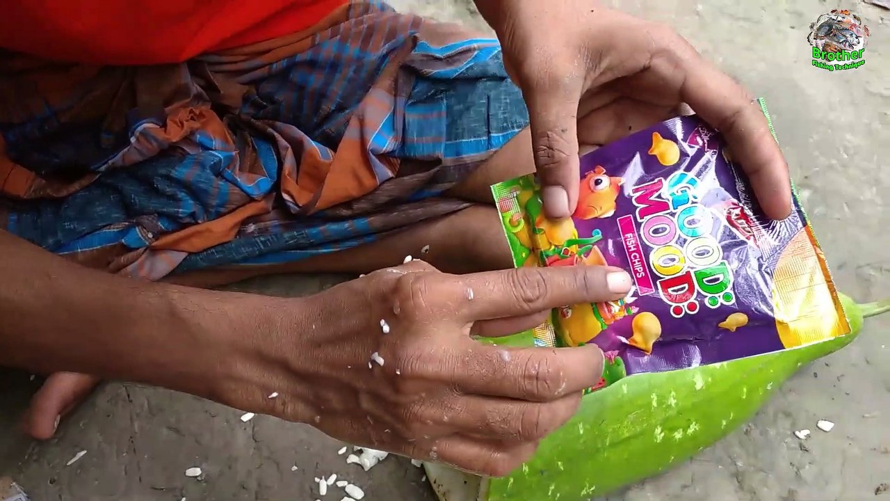 Unique Fish Trapping System ｜ New Technique Of Catching Fish Use Winter Melon