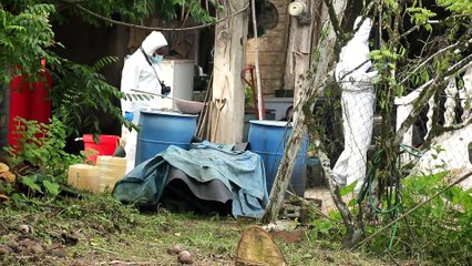 82 YEAR-OLD WOMAN SHOT DEAD