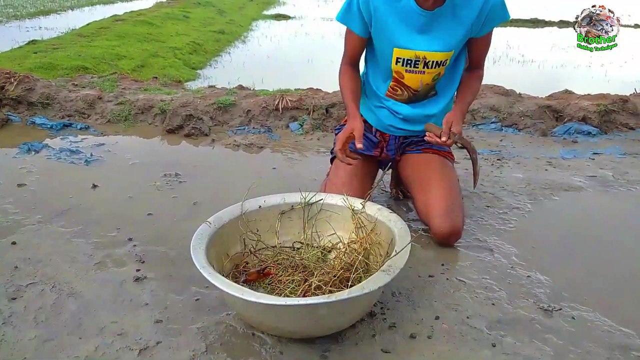 Amazing Giant Mud Crab Catching । Catching Huge Mud Crab From Secret Sand Hole । Brother Fishing