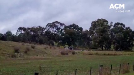 Talbot Fatal Crash | The Courier | August 11