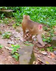 2=I`M very pain mummy stop walk