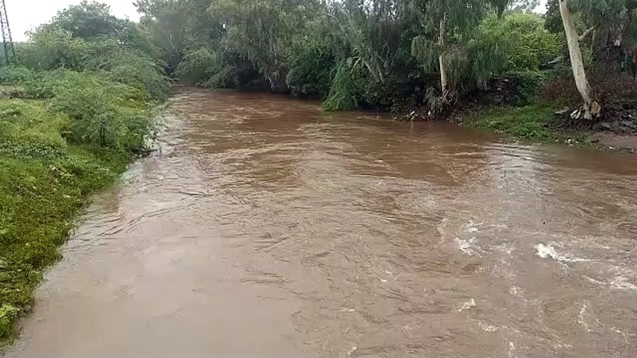 Video... पीछोला झील को भरने वाली सीसारमा नदी तीन फीट बहाव पर