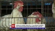 Bureau of Animal Industry: 17 lalawigan sa bansa may kaso ng Asian Avian Influenza H5N1 subtype | 24 Oras News Alert