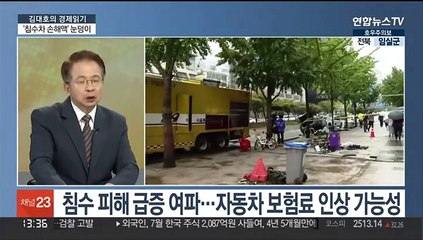 [김대호의 경제읽기] 점점 커지는 폭우 피해…정부 "추석 성수품 최대 공급"