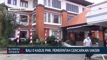 Bali Nol Kasus PMK, Pemerintah Gencarkan Vaksin
