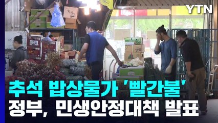 추석 밥상물가 '빨간불'...정부, 민생안정대책 발표 / YTN