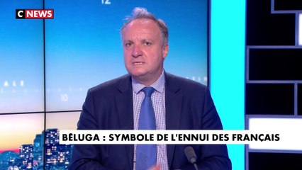 L'édito de Jérôme Béglé : «Béluga : symbole de l'ennui des Français»