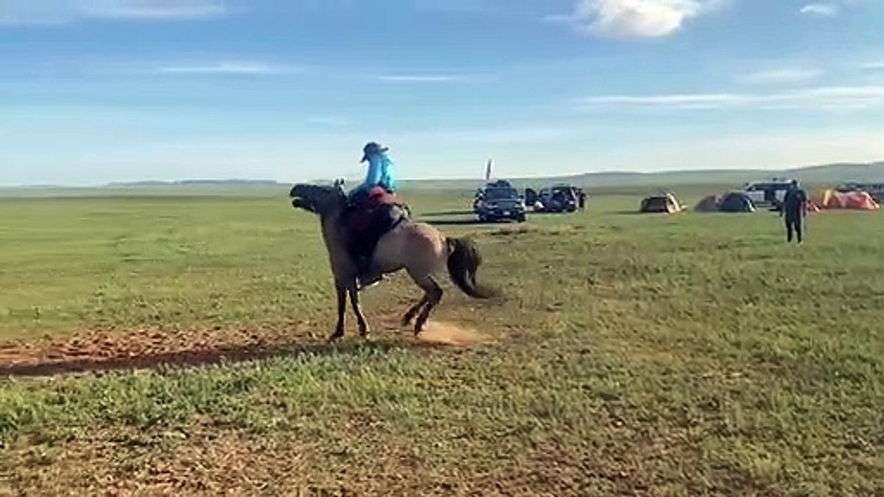 Mongol Derby rodeo | August 11, 2022 | Katherine Times