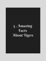 5 Amazing Facts About Tigers
