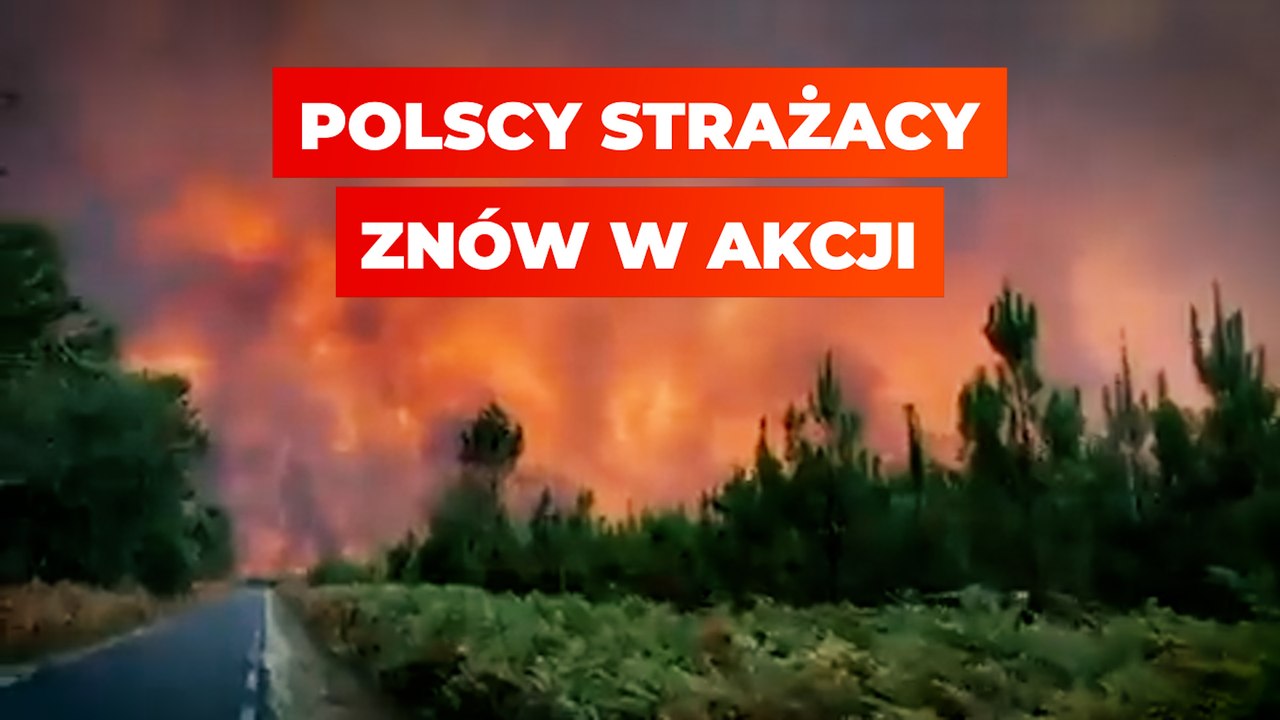 Polscy strażacy znów w akcji. Pomogą Francuzom gasić pożary
