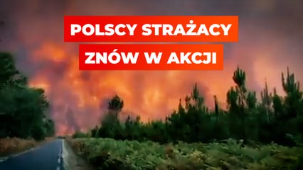 Polscy strażacy znów w akcji. Pomogą Francuzom gasić pożary
