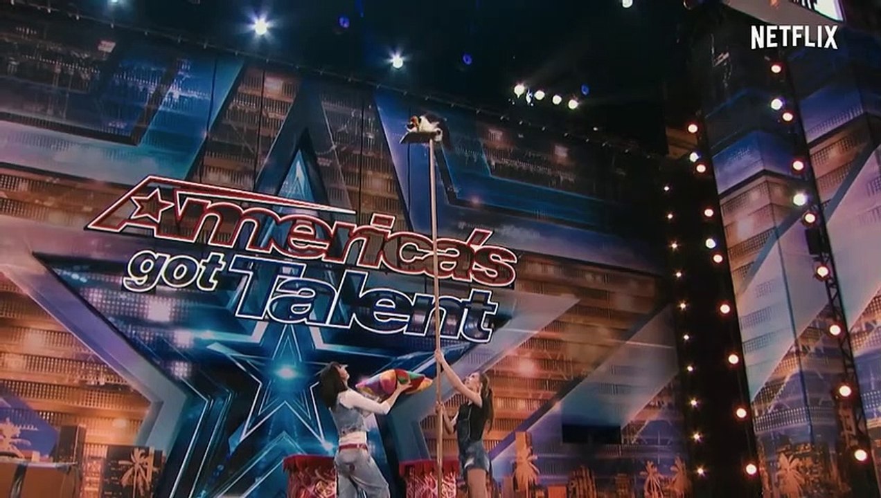 Was katzen denken trailer ov