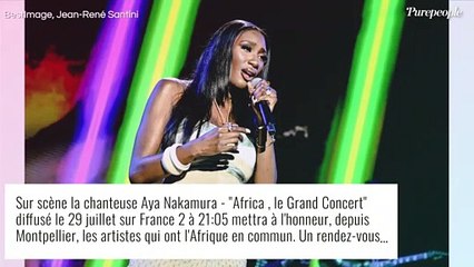 Aya Nakamura menacée par son compagnon avec une arme à feu : nouvelles révélations !