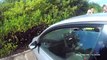 Bodycam captured police officers smashing a window to save a distressed dog locked inside a sweltering car
