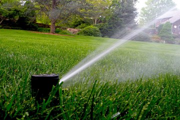 Elle se réveille et voit que le gazon de son jardin a disparu