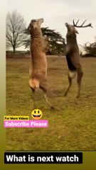 #short #funny #yt #youtubeshort #trending #turkey #us