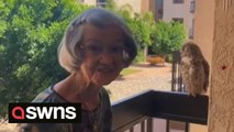 98-year-old grandma receives weekly visits from chatty owl