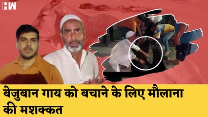 बेजुबान गाय को बचाने के लिए Maulana और Muslim युवकों ने की मसक्कत| Uttar Pradesh| Sambhal| CM Yogi