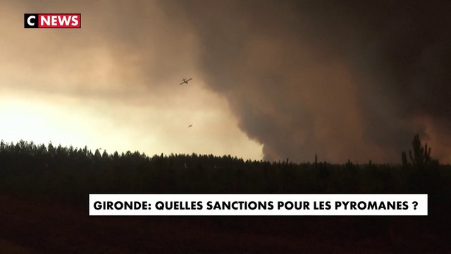 Incendies : quelles sanctions pour les pyromanes ?
