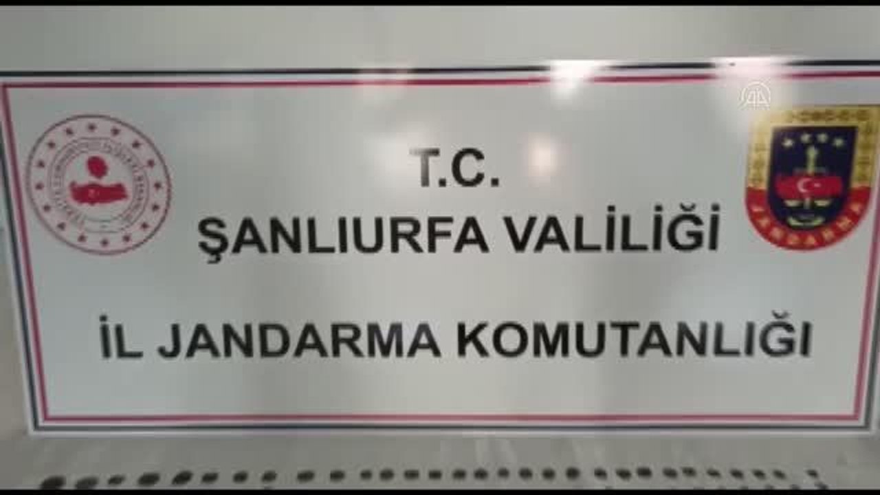 Şanlıurfa haberleri | ŞANLIURFA - Tarihi eser olduğu değerlendirilen 565 parça ve kitap geçirildi