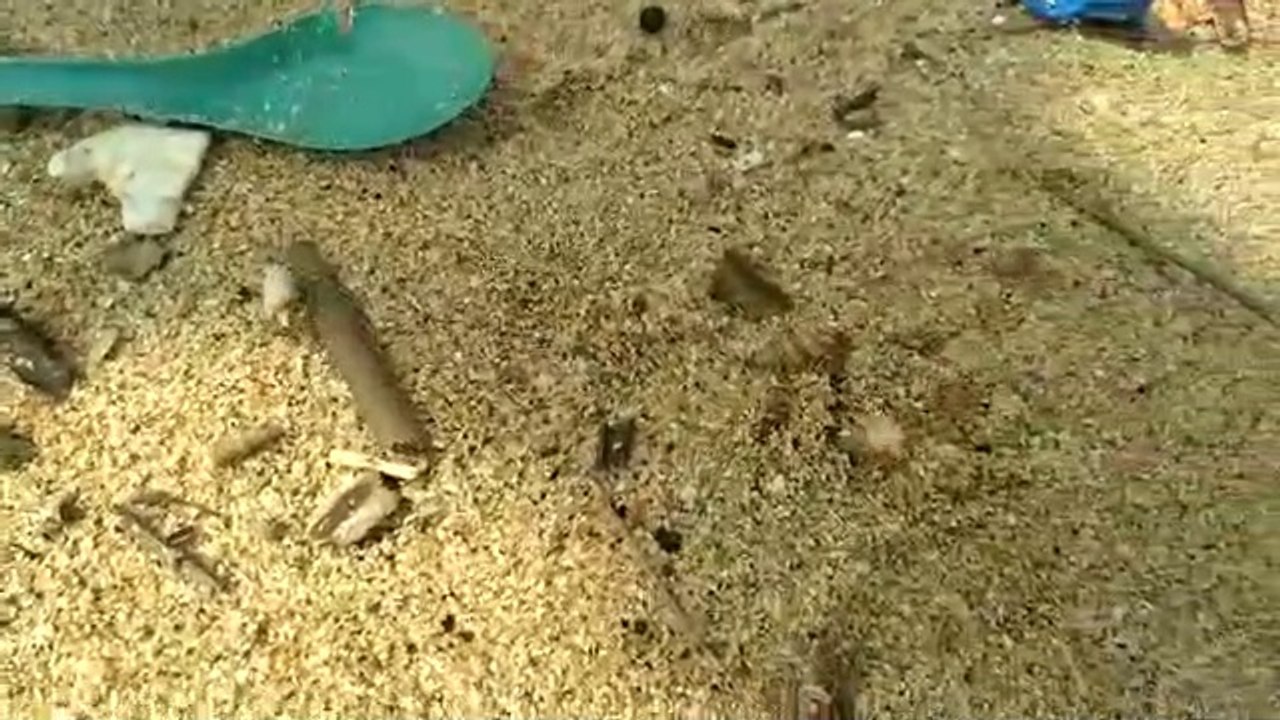 VID-20220811-WA0012